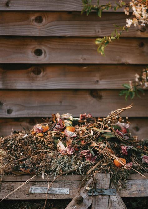 Transforma Tus Residuos Org Nicos En Compost Hablando En Vidrio