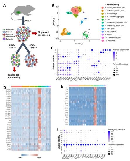 Cancers Free Full Text Single Cell Transcriptomic Analysis Of Tumor