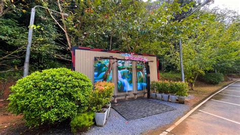Krabi Tiger Temple Hot Springs Crystal Pool Jungle Tour GetYourGuide