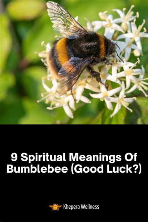 Spiritual Meaning Of Bees Bumble Bee Tattoo Strive For Success