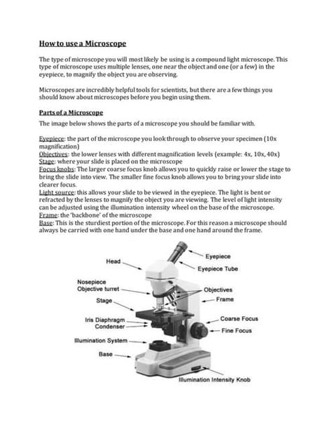 Microscope Handout Ek Pdf Worksheets Library