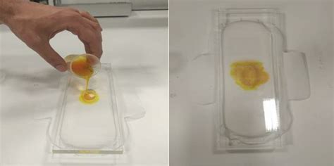 The Execution Of The Experiment Download Scientific Diagram