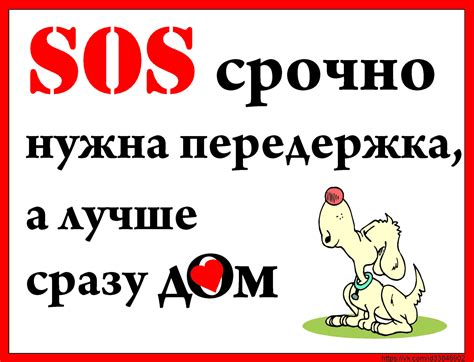 Срочно нужен дом картинки 16 фото