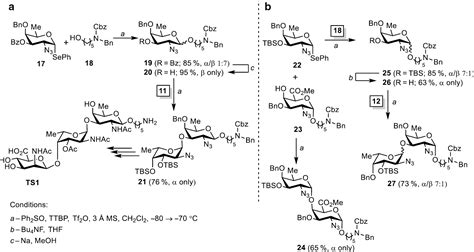 Azidophenylselenylation Of Glycals Towards Azido Deoxy