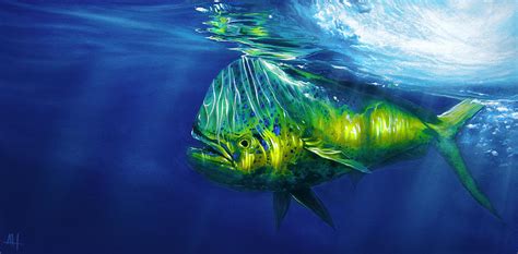 Mahi Mahi Art