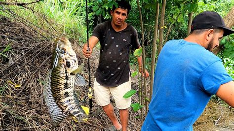 Pesca De Guapotes Con Anzuelo Buscando El Lugar Ideal Para Pescar