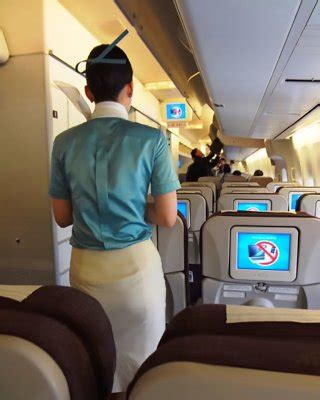 Korean Air Hostesses Porn Pictures XXX Photos Sex Images 3926512 PICTOA
