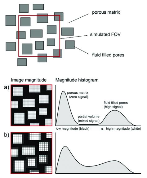 The Effect Of The Voxel Size On The Distribution Of The Image Magnitude