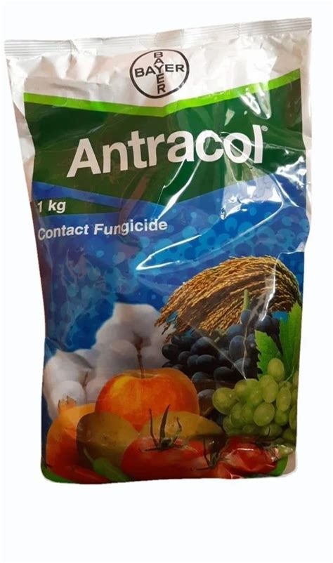 Kg Antracol Contact Fungicide Powder Propineb Wp At Rs Kg In