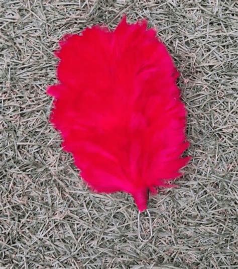 British Army Red Beret Feather Dress Parade Passout Hat Military
