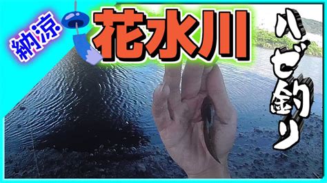 花水川でハゼ釣り【2021年8月】 Youtube