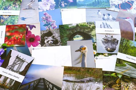 More Ways To Make Someone Happier: New Nature Photography Postcards