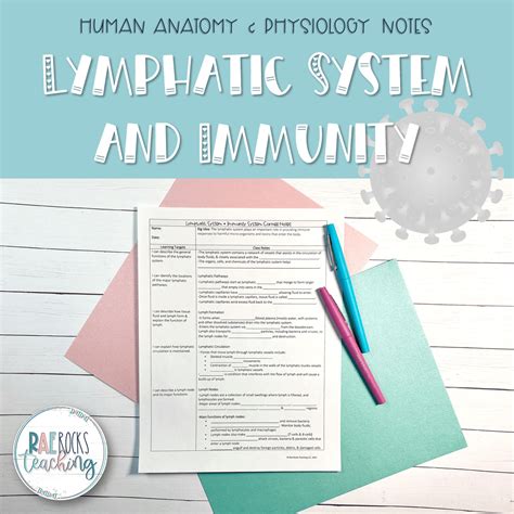 Lymphatic System In Immunity - Rae Rocks Teaching