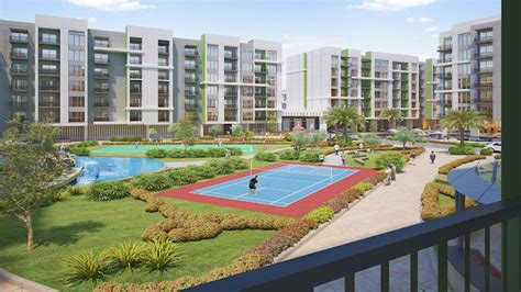 OLIVZ - UaeAssets.com
