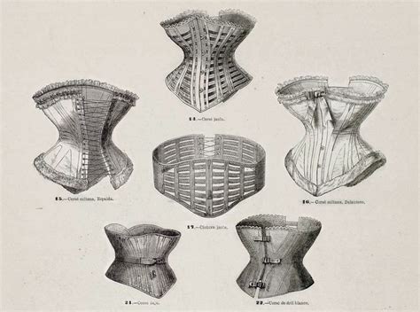 1875 La moda elegante ilustrada Corsés Núm 14 Corsé jaula Este