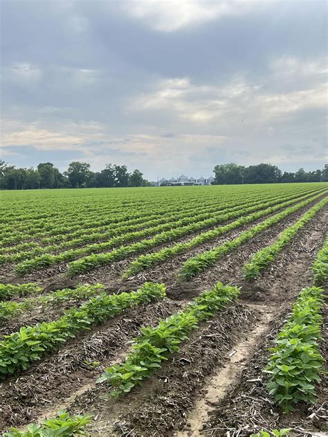 Local people are recommending the services of springer turner mortuary 26