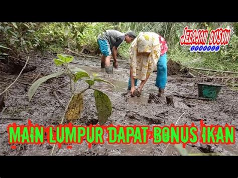 Tangkap Ikan Di Lumpur Saat Musim Kemarau YouTube