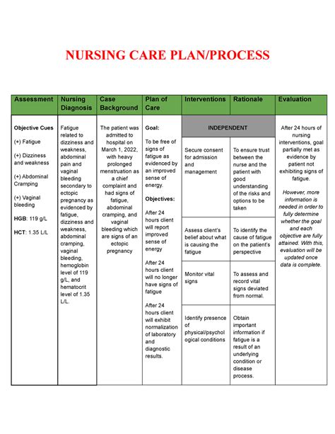 Nursing Care Plan Pregnancy Hot Sex Picture