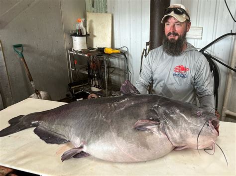 Tennessee Man Breaks Record For Catching Largest Blue Catfish WDEF