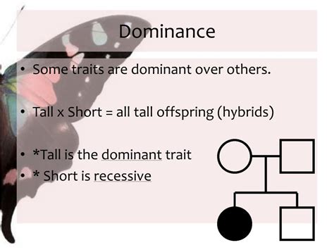 Ppt Mendels Genetics Powerpoint Presentation Free Download Id 2793705