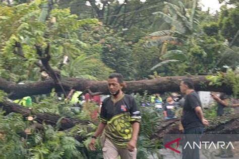 Bogor Siaga Bencana Akibat Angin Kencang Dan Hujan Deras Antara News