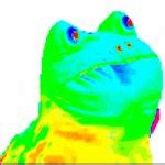 frog Meme Generator - Imgflip