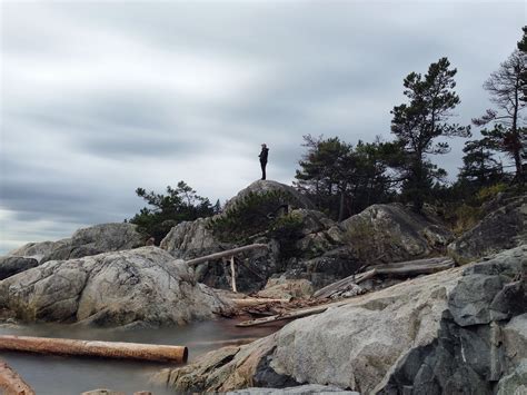 Free Images Sea Coast Tree Rock Wilderness Mountain Cliff