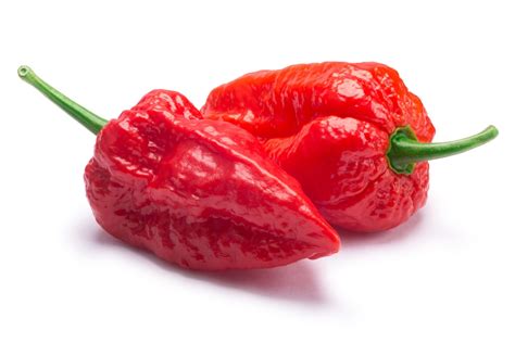 Ghost peppers - virtnitro