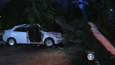 Vídeo Homem morre após árvore cair e atingir carro no Centro de SP