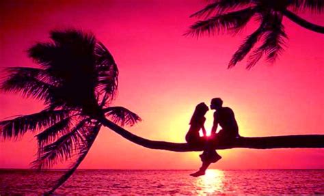 Download Couple Romantic Love On A Tree Wallpaper