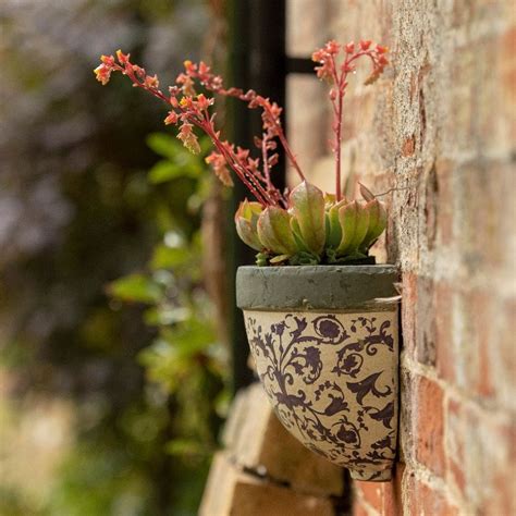 Buy Half Round Aged Ceramic Wall Planter Delivery By Waitrose Garden