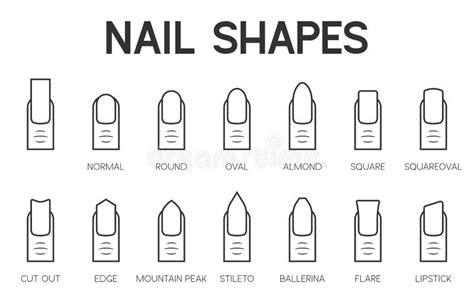 Nail Shapes Stock Illustrations 735 Nail Shapes Stock Illustrations