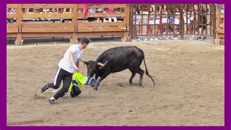 Monteagudo Navarra Tarde Vacas En Plaza Viernes Agosto