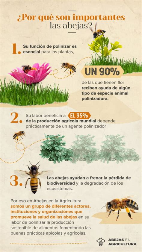 Por qué son importantes las abejas Abejas en Agricultura