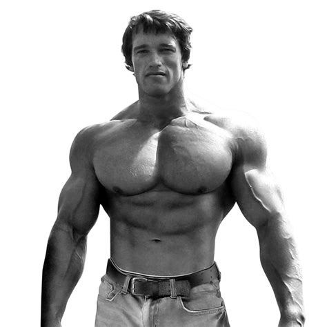 Arnold Schwarzenegger's Legendary Diet and Workout Plan