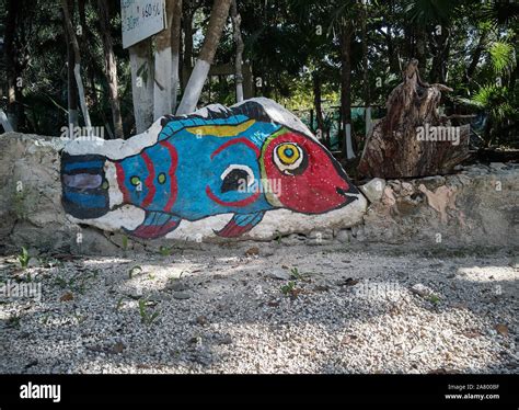 wall   shape   fish stock photo alamy