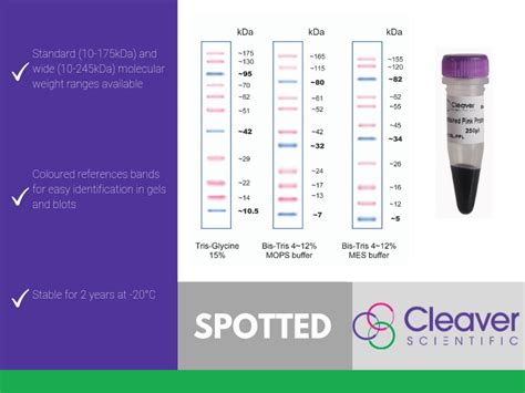 Spotted Pink Plus Prestained Protein Ladder 41 Somers Rd Rugby Cv22 7dh Uk Cleaver Scientific