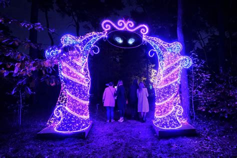 Niezwyk A Atrakcja Powr Ci A Do Poznania W Tym Roku Tematem Lumina