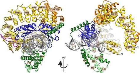 Structural Basis For Recognition And Remodeling Of The Tbpdnanc2