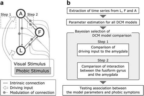 Dcm Model Structure And The Two Steps Approach Of Dcm Model Comparison