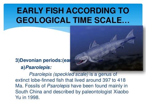 Evolution Of Fish Early Fish