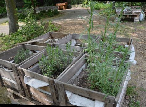 Neues Urban Gardening Projekt Mit F Rberpflanzen Und K Chenkr Uterm