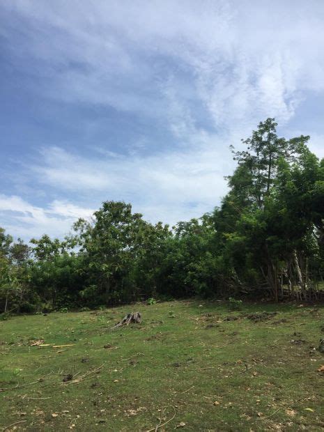 Tanah Di Bawah Pasaran Ha Di Labuan Sait Pecatu Badung Menit Ke