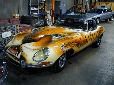 Cool Jaguar Paint Job