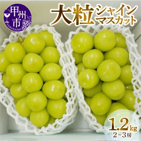 【楽天市場】19531201俊ちゃんさんさんの【ふるさと納税】 シャインマスカット 2房 ～ 3房 12kg 山梨 甲州市産 期間限定 8月