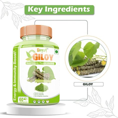 Divya Shree Giloy Capsule Promotes Healthy Skin Provides Support To