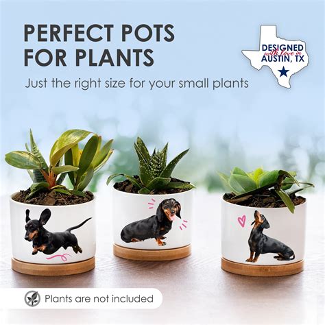 Dachshund Planters Dachshund Ts For Women And Men Premium Etsy