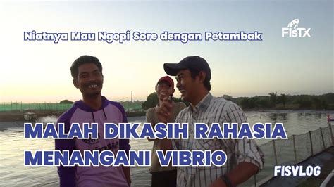 Fisvlog Niatnya Mau Ngopi Sore Di Tambak Malah Dikasih Tips