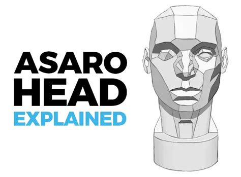 The Asaro Head How To Master The Planes Of The Head