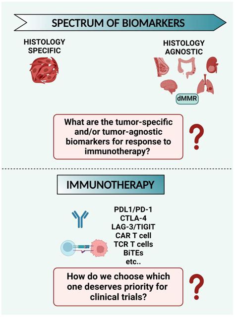 General Scheme Of Biomarkers For Response To Immunotherapy Several